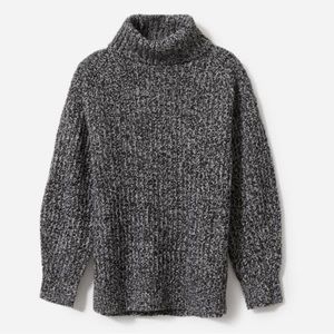 Everlane Italian Soft Wool Rib Turtleneck Sweater